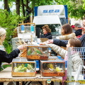 A range of birds for sale
